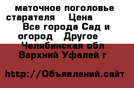 маточное поголовье старателя  › Цена ­ 3 700 - Все города Сад и огород » Другое   . Челябинская обл.,Верхний Уфалей г.